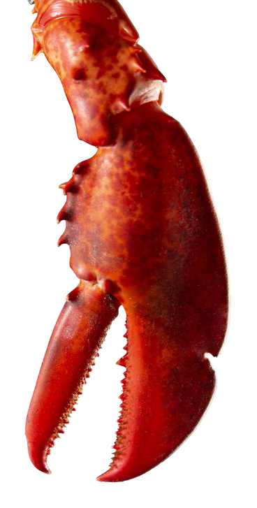 c2